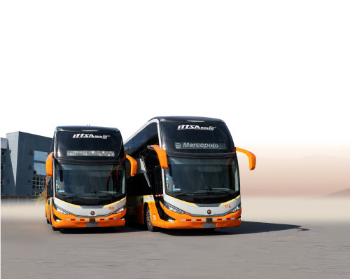 Buses ITTSABUS
