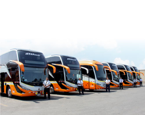 Buses ITTSABUS