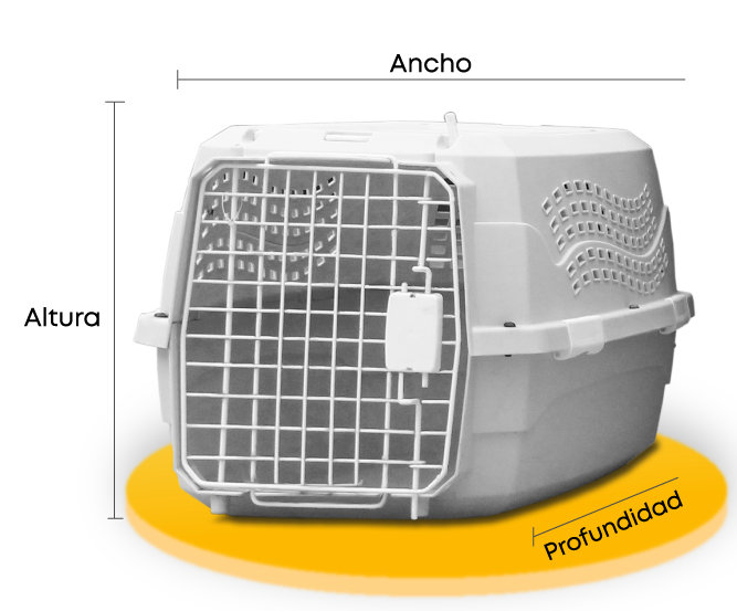 Kennel con medidas: ancho, altura y profundidad