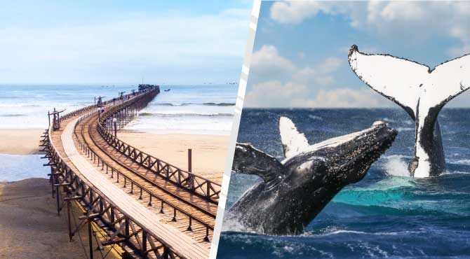 Pasajes de bus CHICLAYO a ORGANOS