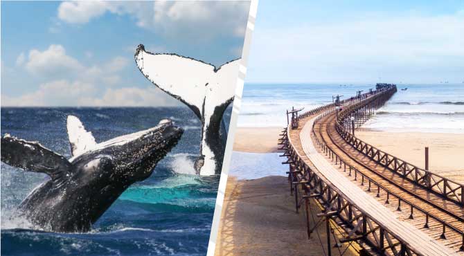 Pasajes de bus ORGANOS a CHICLAYO