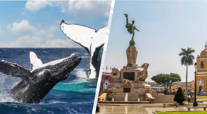 Pasajes de bus ORGANOS a TRUJILLO