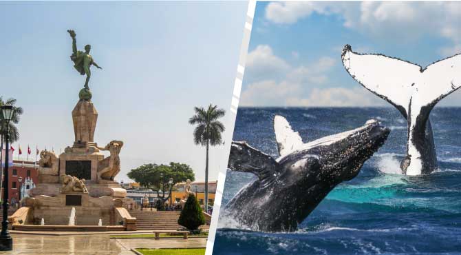 Pasajes de bus TRUJILLO a ORGANOS