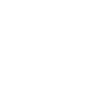 Ícono Whatsapp