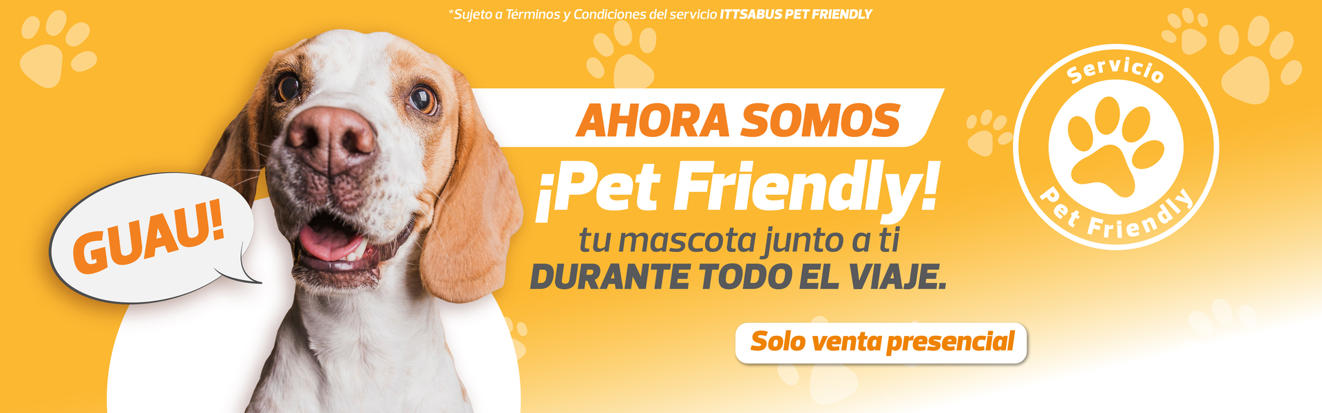 Servicio petfriendly